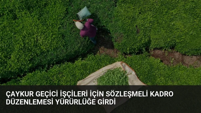 ÇAYKUR Geçici İşçileri İçin Sözleşmeli Kadro Düzenlemesi Yürürlüğe Girdi