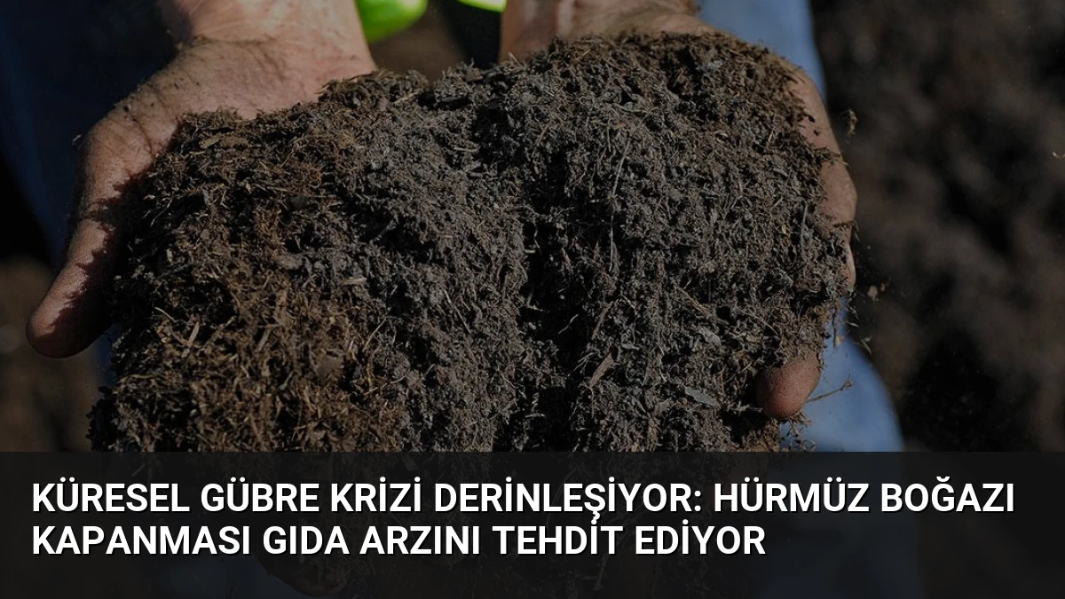 Küresel Gübre Krizi Derinleşiyor: Hürmüz Boğazı Kapanması Gıda Arzını Tehdit Ediyor