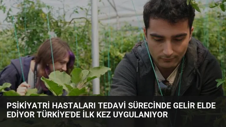 Psikiyatri Hastaları Tedavi Sürecinde Gelir Elde Ediyor Türkiye’de İlk Kez Uygulanıyor