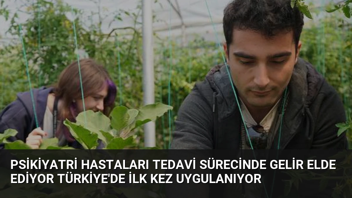 Psikiyatri Hastaları Tedavi Sürecinde Gelir Elde Ediyor Türkiye’de İlk Kez Uygulanıyor