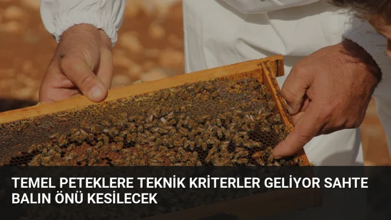 Temel Peteklere Teknik Kriterler Geliyor Sahte Balın Önü Kesilecek