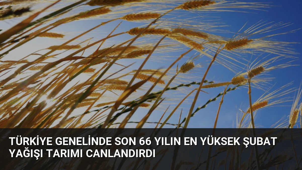 Türkiye Genelinde Son 66 Yılın En Yüksek Şubat Yağışı Tarımı Canlandırdı