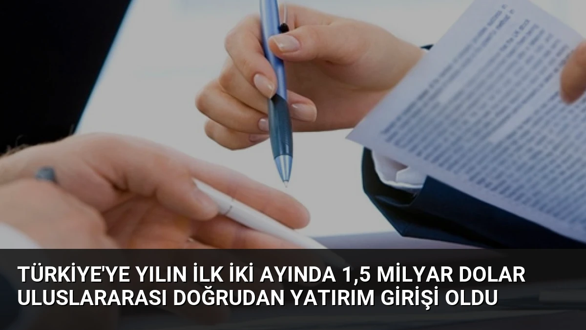 Türkiye’ye Yılın İlk İki Ayında 1,5 Milyar Dolar Uluslararası Doğrudan Yatırım Girişi Oldu