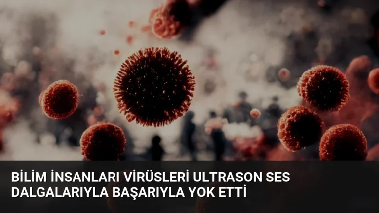 Bilim İnsanları Virüsleri Ultrason Ses Dalgalarıyla Başarıyla Yok Etti