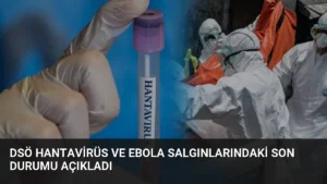 DSÖ Hantavirüs ve Ebola Salgınlarındaki Son Durumu Açıkladı