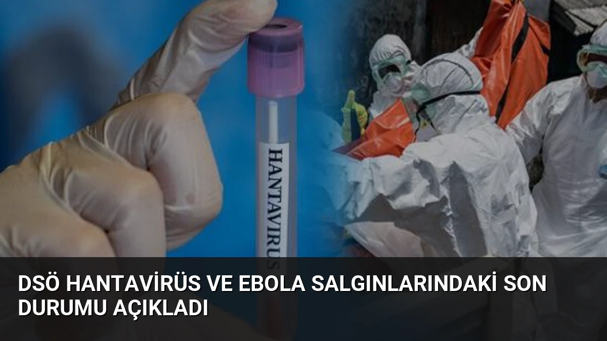DSÖ Hantavirüs ve Ebola Salgınlarındaki Son Durumu Açıkladı