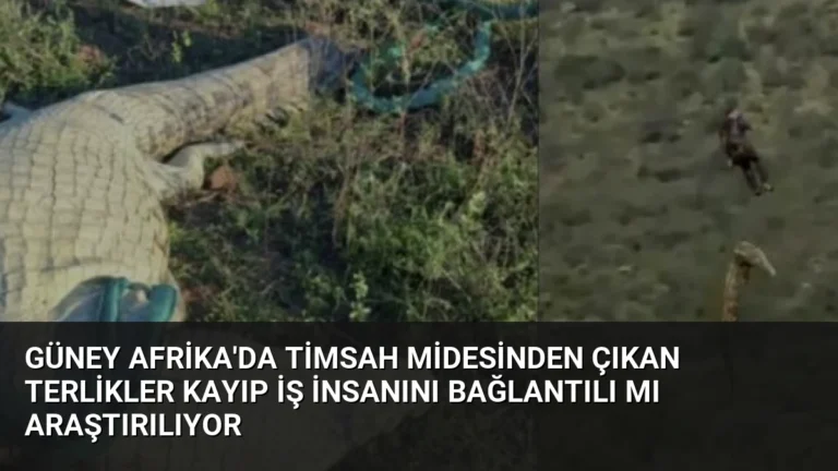 Güney Afrika’da Timsah Midesinden Çıkan Terlikler Kayıp İş İnsanını Bağlantılı Mı Araştırılıyor