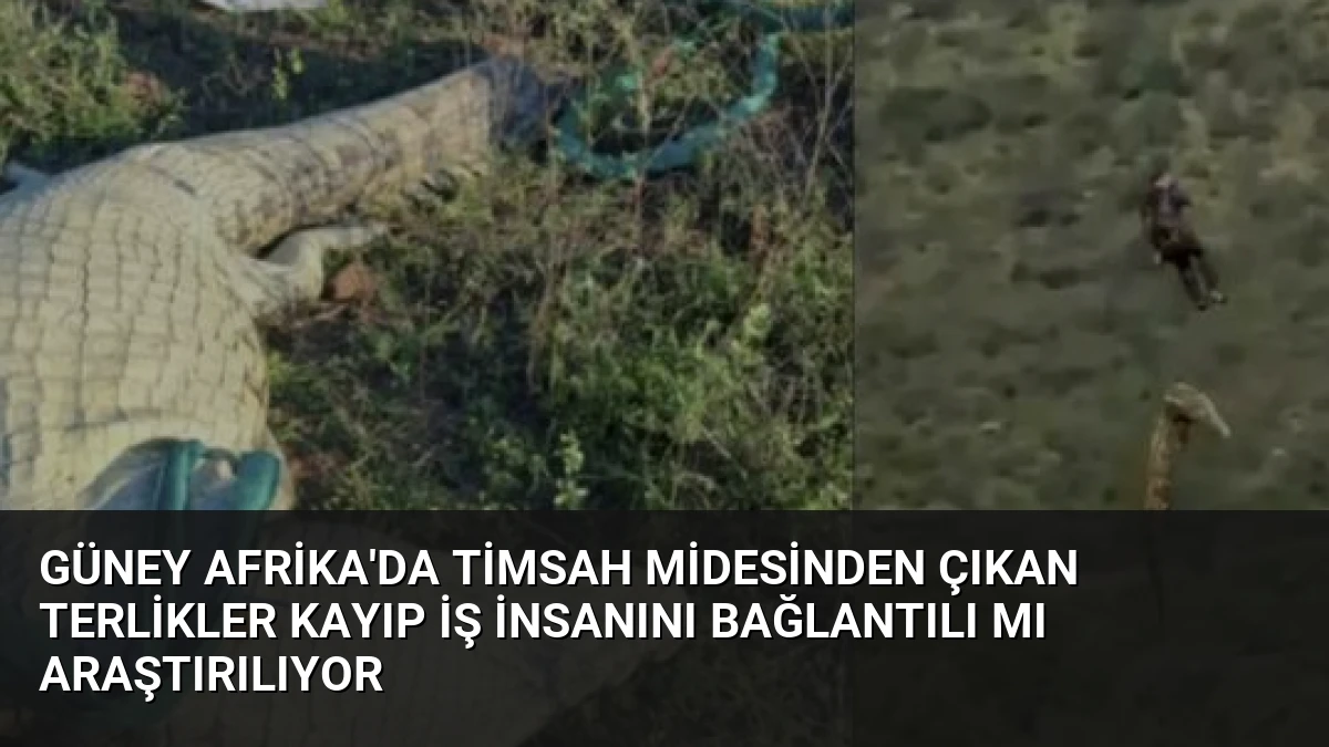 Güney Afrika’da Timsah Midesinden Çıkan Terlikler Kayıp İş İnsanını Bağlantılı Mı Araştırılıyor