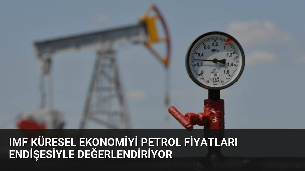 IMF Küresel Ekonomiyi Petrol Fiyatları Endişesiyle Değerlendiriyor