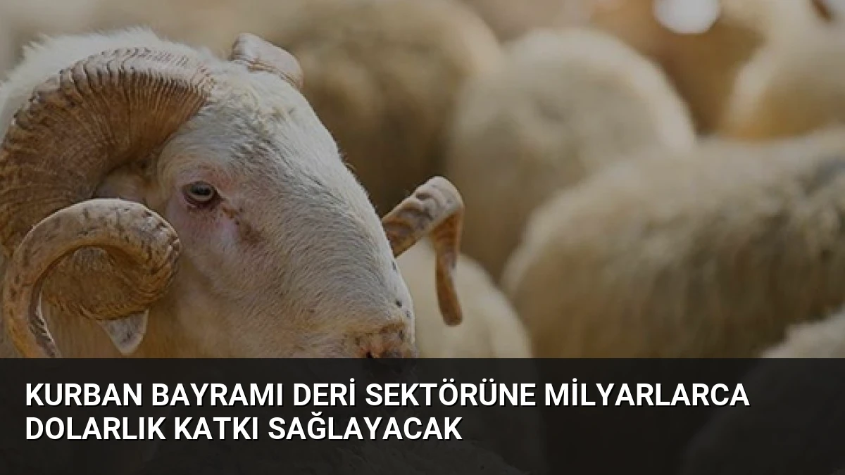 Kurban Bayramı Deri Sektörüne Milyarlarca Dolarlık Katkı Sağlayacak