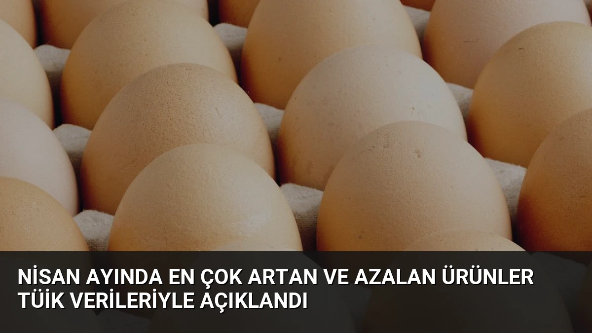 Nisan Ayında En Çok Artan ve Azalan Ürünler TÜİK Verileriyle Açıklandı