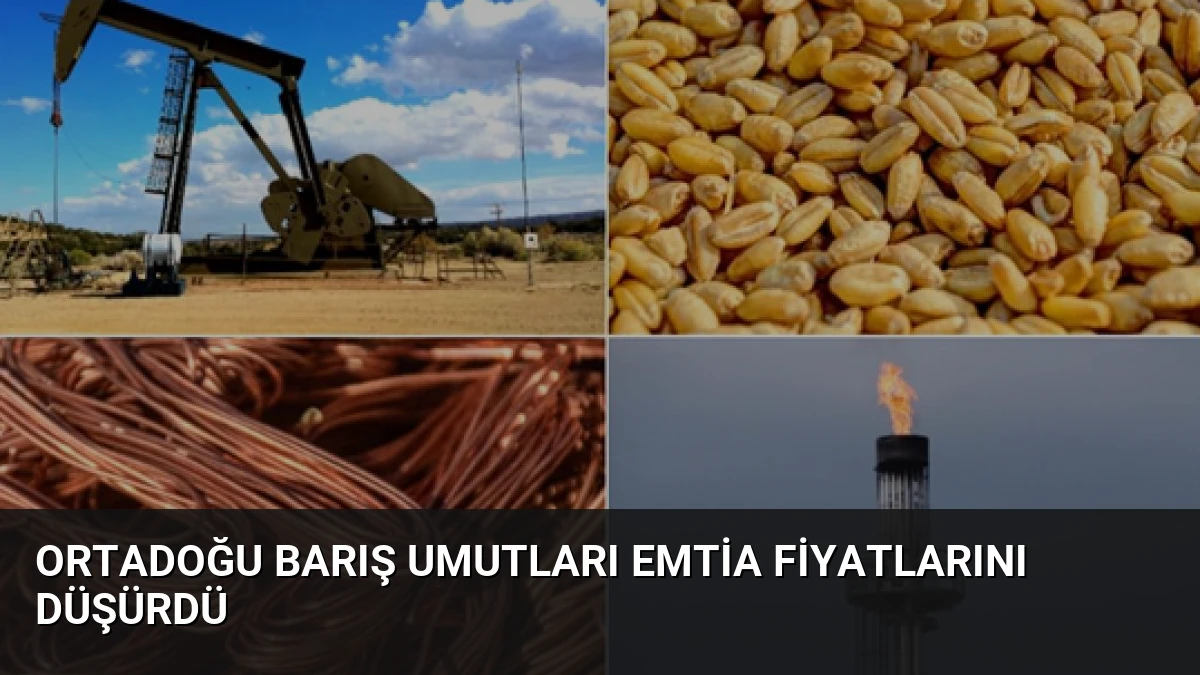 Ortadoğu Barış Umutları Emtia Fiyatlarını Düşürdü