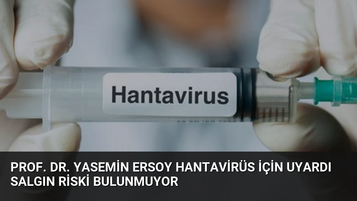 Prof. Dr. Yasemin Ersoy Hantavirüs İçin Uyardı Salgın Riski Bulunmuyor