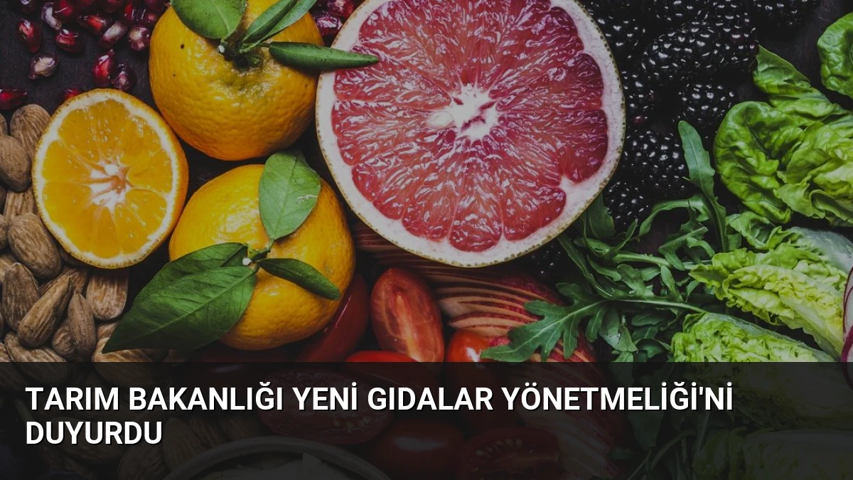 Tarım Bakanlığı Yeni Gıdalar Yönetmeliği’ni Duyurdu