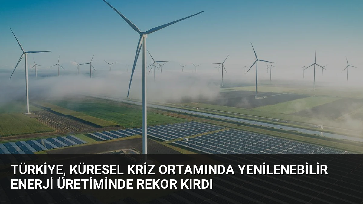 Türkiye, Küresel Kriz Ortamında Yenilenebilir Enerji Üretiminde Rekor Kırdı