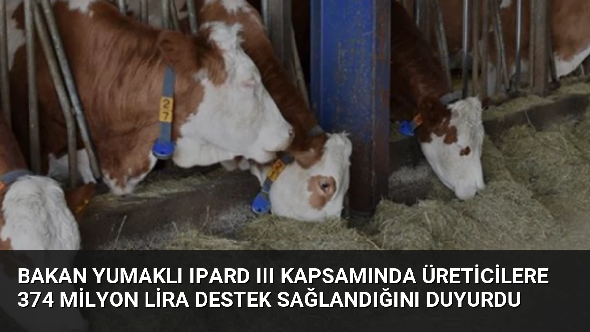 Bakan Yumaklı IPARD III kapsamında üreticilere 374 milyon lira destek sağlandığını duyurdu