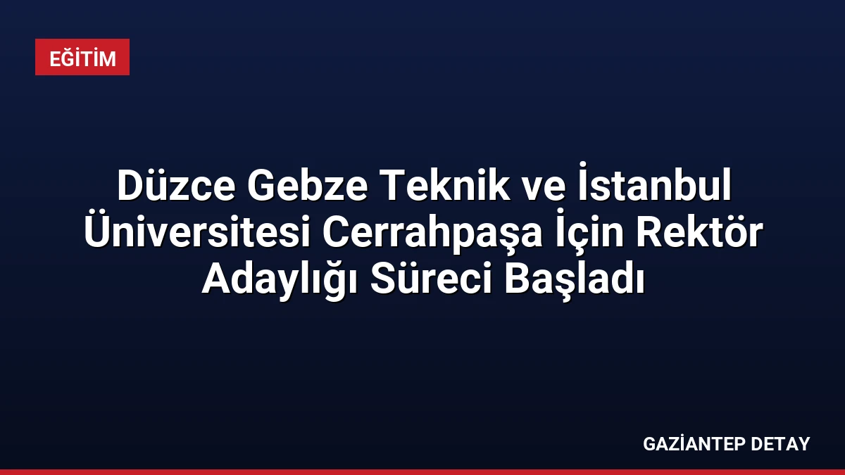 Düzce Gebze Teknik ve İstanbul Üniversitesi Cerrahpaşa İçin Rektör Adaylığı Süreci Başladı