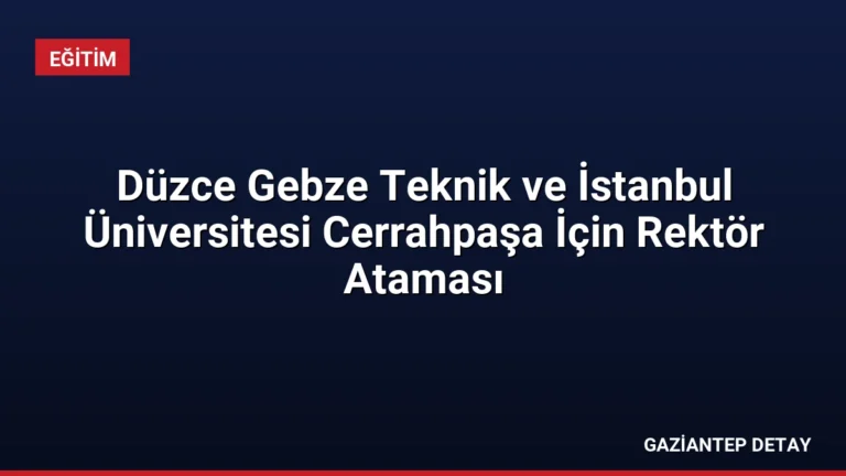 Düzce Gebze Teknik ve İstanbul Üniversitesi Cerrahpaşa İçin Rektör Ataması