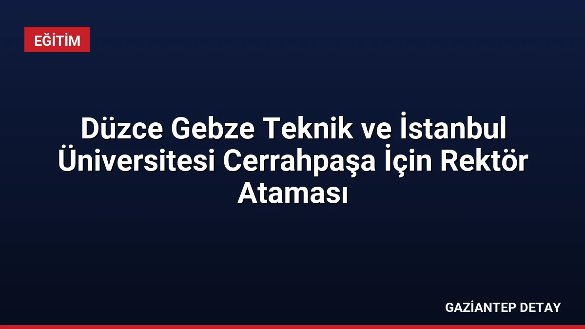 Düzce Gebze Teknik ve İstanbul Üniversitesi Cerrahpaşa İçin Rektör Ataması
