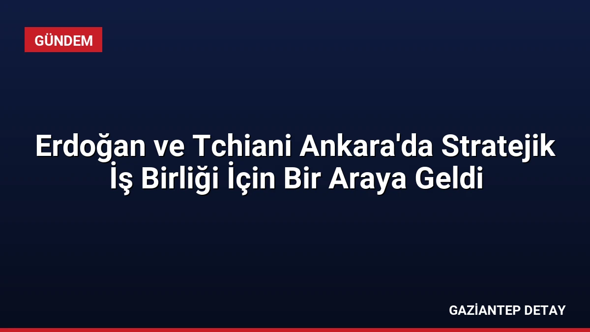 Erdoğan ve Tchiani Ankara’da Stratejik İş Birliği İçin Bir Araya Geldi