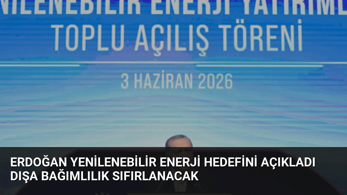 Erdoğan Yenilenebilir Enerji Hedefini Açıkladı Dışa Bağımlılık Sıfırlanacak