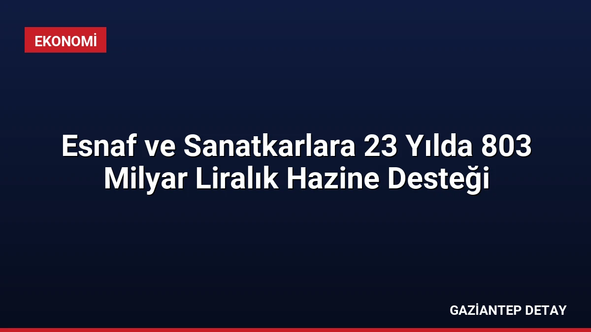 Esnaf ve Sanatkarlara 23 Yılda 803 Milyar Liralık Hazine Desteği