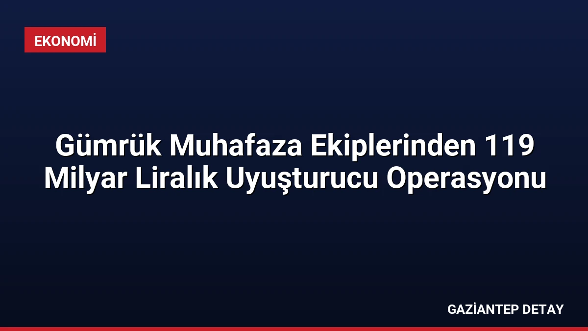 Gümrük Muhafaza Ekiplerinden 119 Milyar Liralık Uyuşturucu Operasyonu