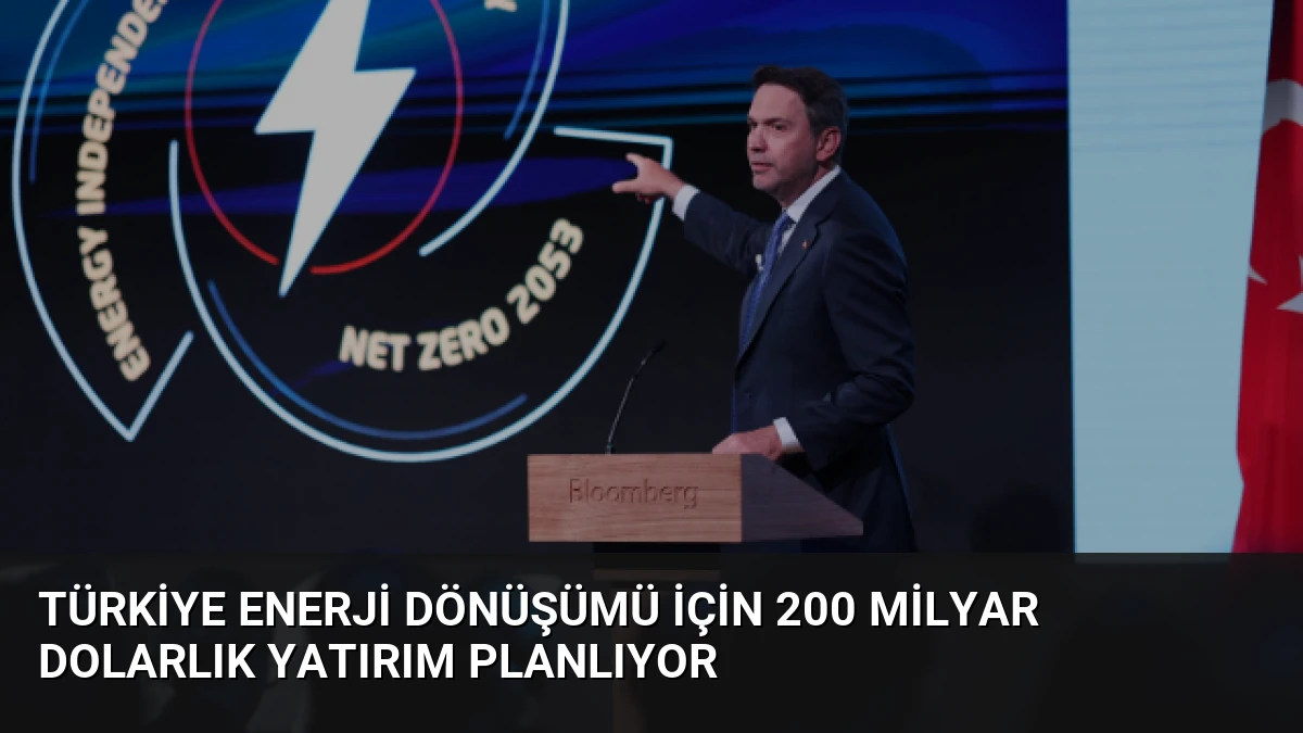 Türkiye Enerji Dönüşümü İçin 200 Milyar Dolarlık Yatırım Planlıyor