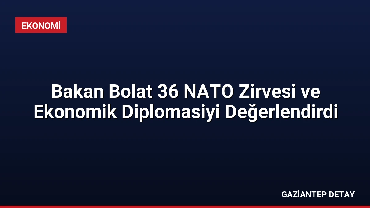 Bakan Bolat 36 NATO Zirvesi ve Ekonomik Diplomasiyi Değerlendirdi