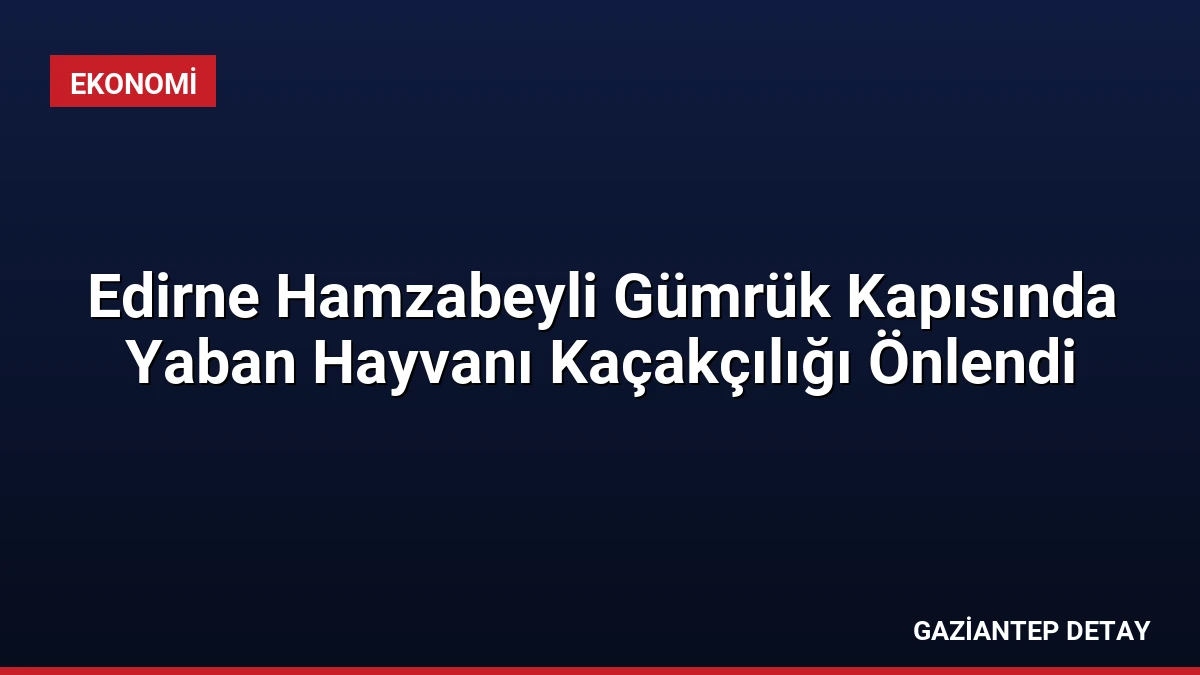 Edirne Hamzabeyli Gümrük Kapısında Yaban Hayvanı Kaçakçılığı Önlendi