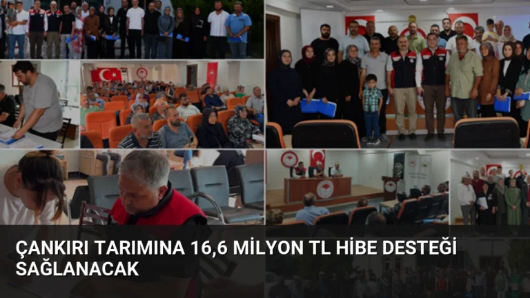 Çankırı Tarımına 16,6 Milyon TL Hibe Desteği Sağlanacak