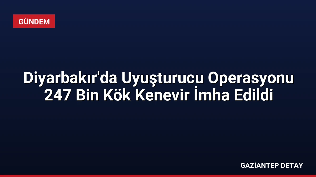 Diyarbakır’da Uyuşturucu Operasyonu 247 Bin Kök Kenevir İmha Edildi