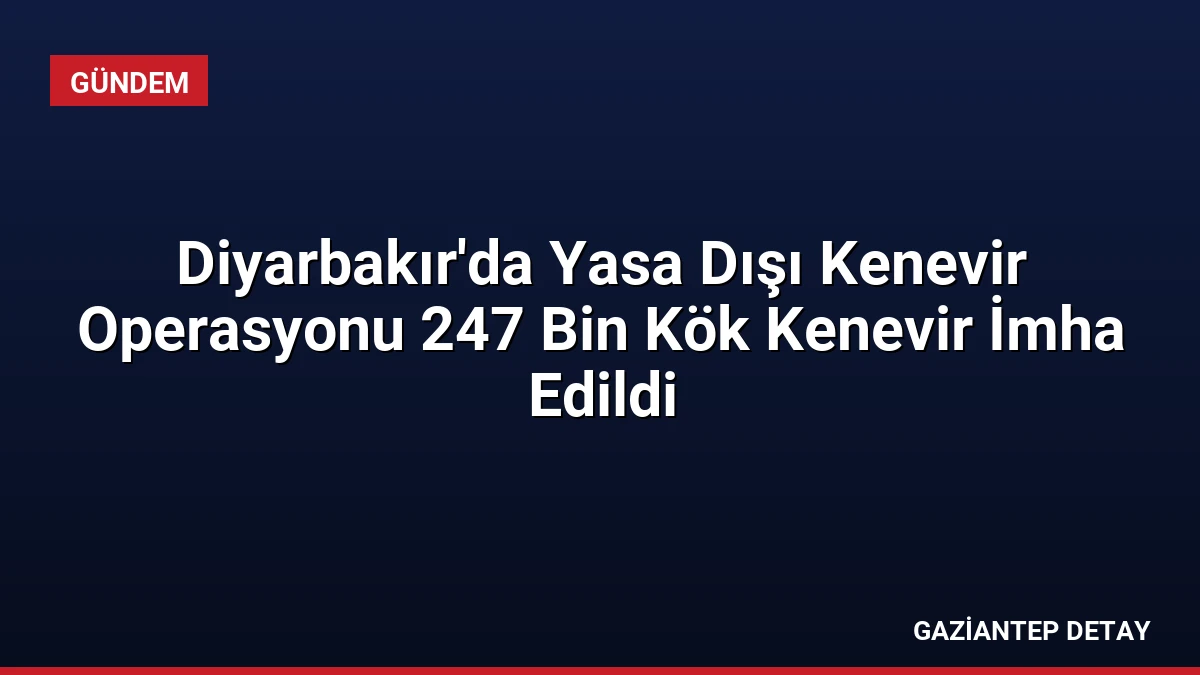 Diyarbakır’da Yasa Dışı Kenevir Operasyonu 247 Bin Kök Kenevir İmha Edildi