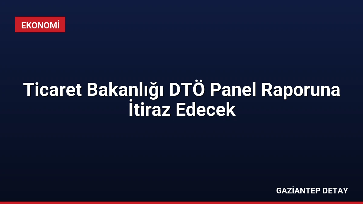 Ticaret Bakanlığı DTÖ Panel Raporuna İtiraz Edecek