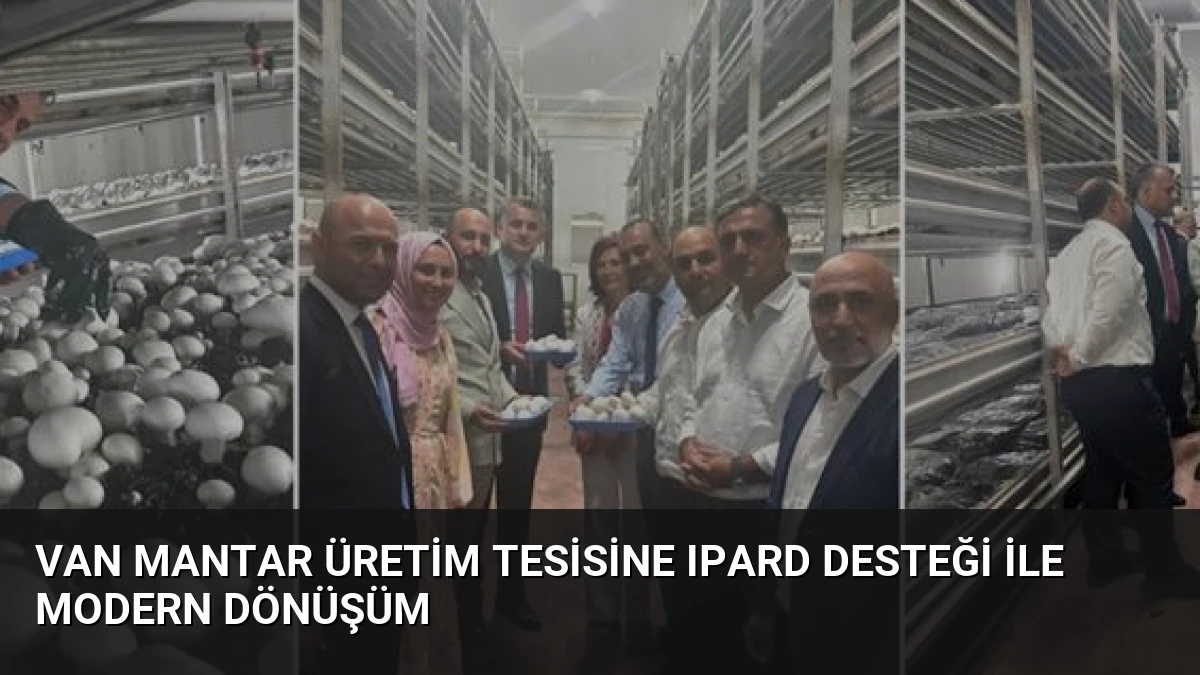 Van Mantar Üretim Tesisine IPARD Desteği ile Modern Dönüşüm