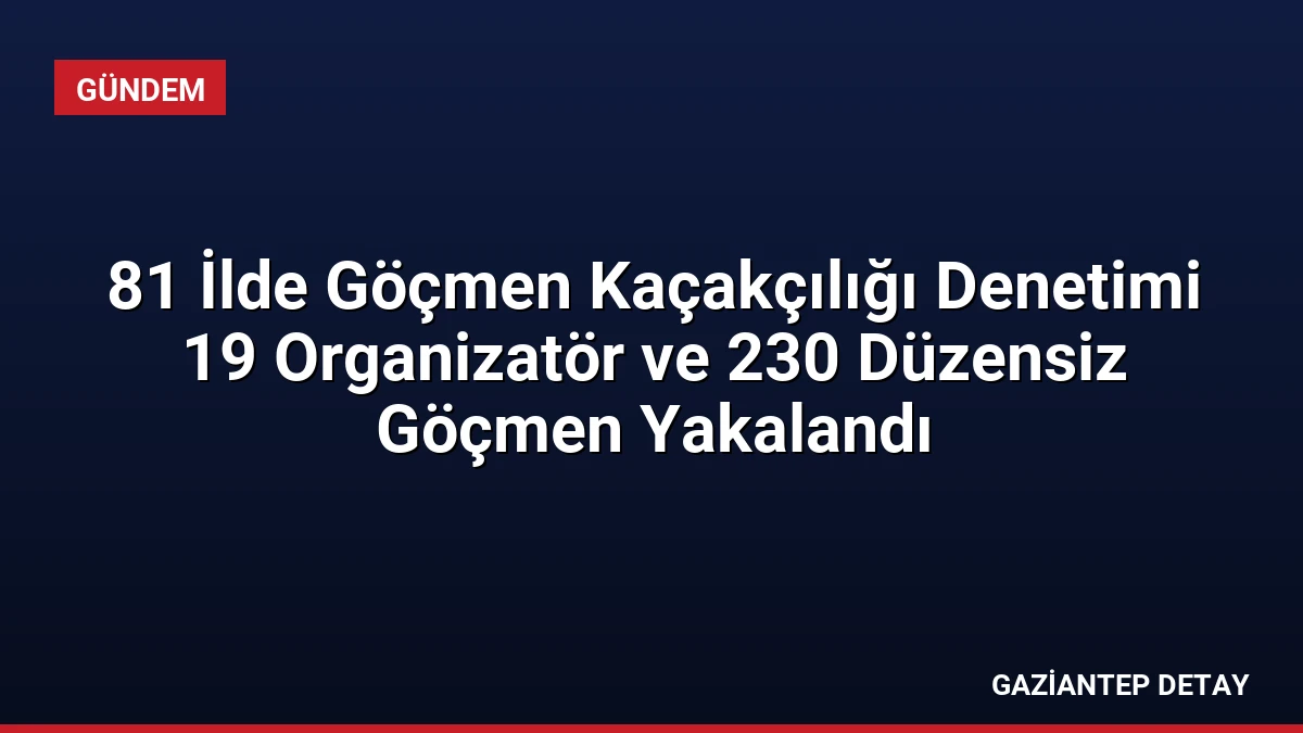 81 İlde Göçmen Kaçakçılığı Denetimi 19 Organizatör ve 230 Düzensiz Göçmen Yakalandı