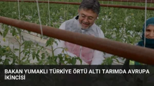 Bakan Yumaklı Türkiye Örtü Altı Tarımda Avrupa İkincisi