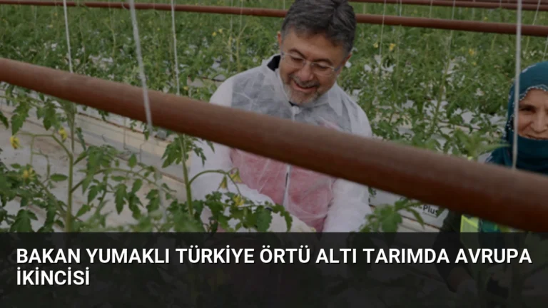 Bakan Yumaklı Türkiye Örtü Altı Tarımda Avrupa İkincisi