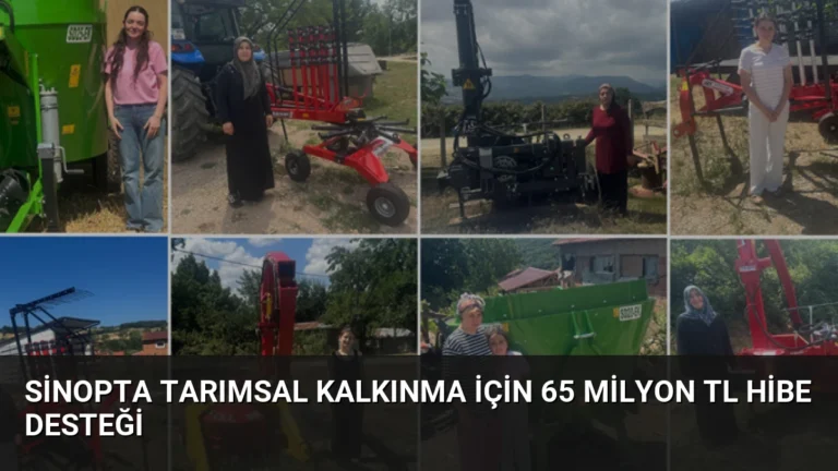 Sinopta Tarımsal Kalkınma İçin 65 Milyon TL Hibe Desteği