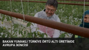 Bakan Yumaklı Türkiye Örtü Altı Üretimde Avrupa İkincisi