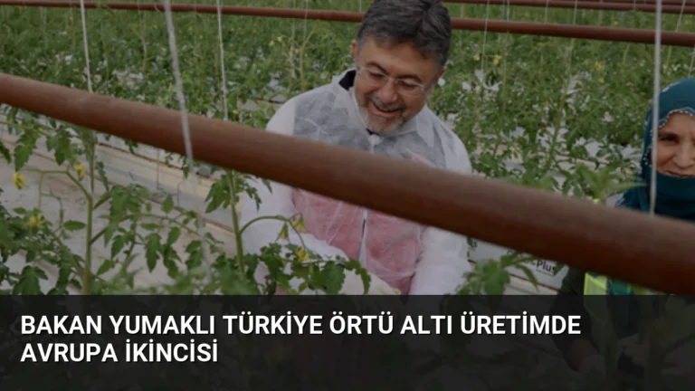 Bakan Yumaklı Türkiye Örtü Altı Üretimde Avrupa İkincisi