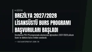Brezilya 2027/2028 Lisansüstü Burs Programı Başvuruları Başladı