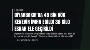 Diyarbakır’da 48 Bin Kök Kenevir İmha Edildi 36 Kilo Esrar Ele Geçirildi