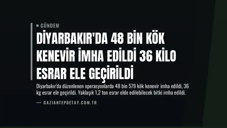 Diyarbakır’da 48 Bin Kök Kenevir İmha Edildi 36 Kilo Esrar Ele Geçirildi
