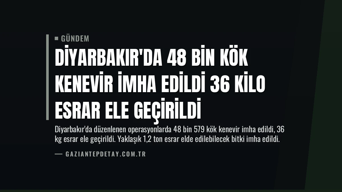 Diyarbakır’da 48 Bin Kök Kenevir İmha Edildi 36 Kilo Esrar Ele Geçirildi