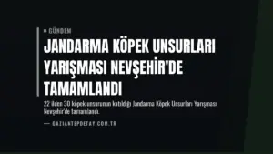 Jandarma Köpek Unsurları Yarışması Nevşehir'de Tamamlandı