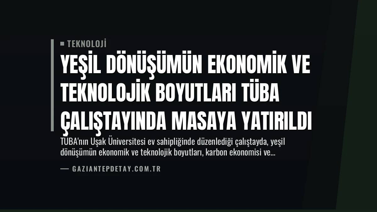 Yeşil Dönüşümün Ekonomik ve Teknolojik Boyutları TÜBA Çalıştayında Masaya Yatırıldı